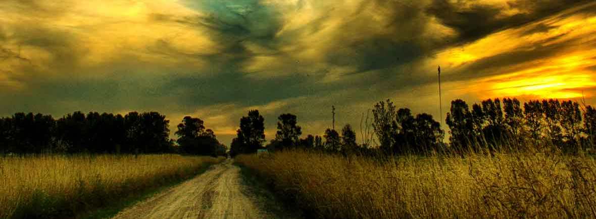 Desperatley Seeking Kayla - The Haunted Pen